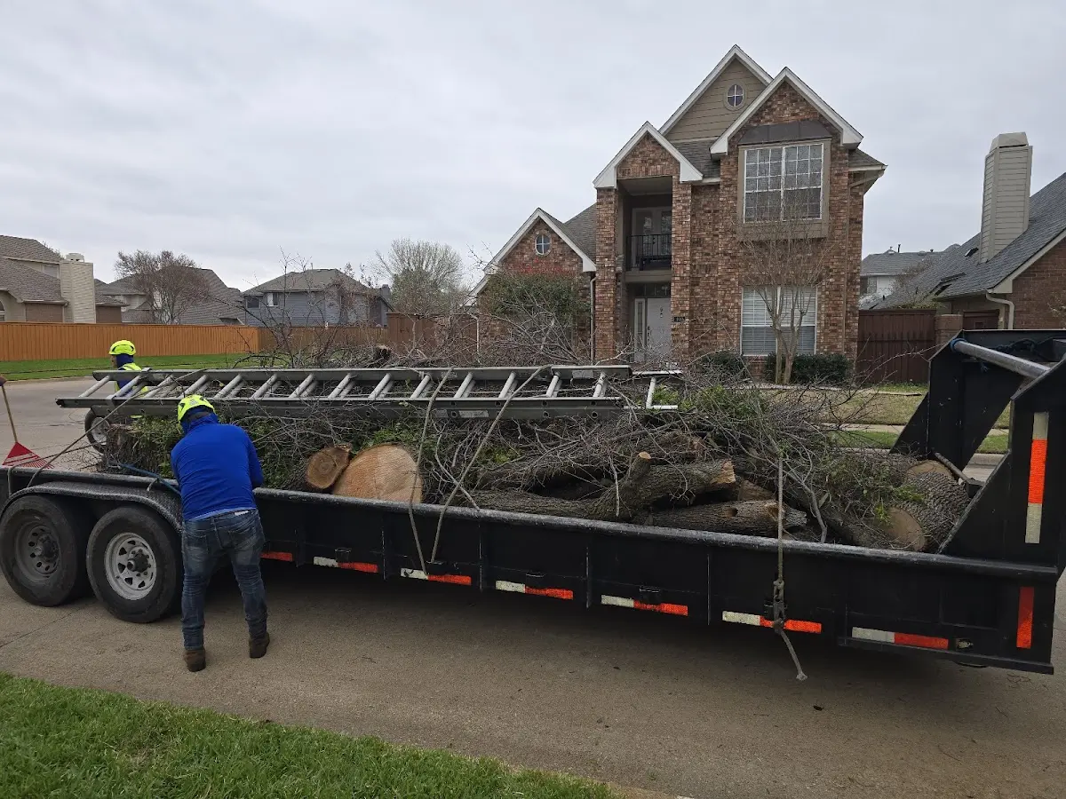 Expert Tree Pest Control with proper safety equipment in Burnham